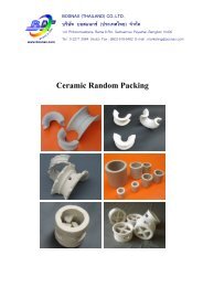 Ceramic Random Packing - Bosnax (Thailand) co., ltd.