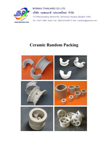 Ceramic Random Packing - Bosnax (Thailand) co., ltd.