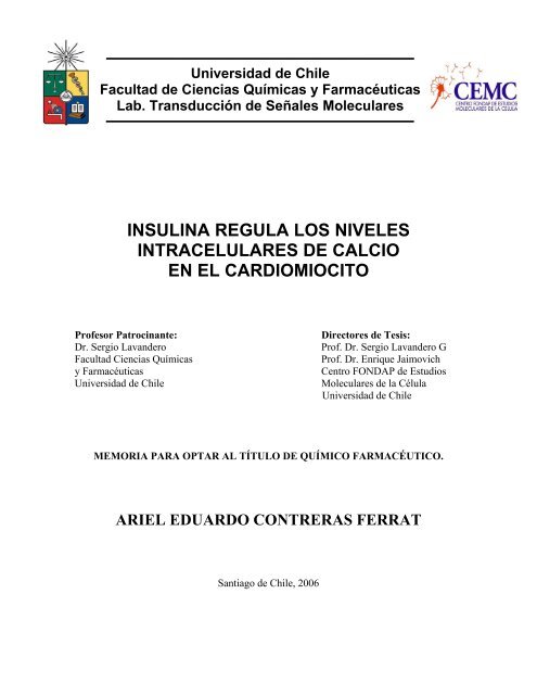 insulina regula los niveles intracelulares de calcio en el cardiomiocito
