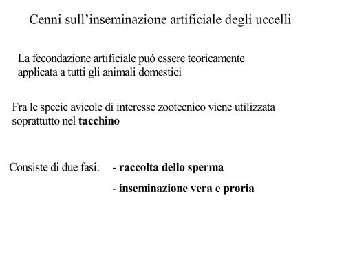 L'uovo: struttura e composizione