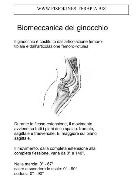 Biomeccanica del ginocchio - Fisiokinesiterapia.biz