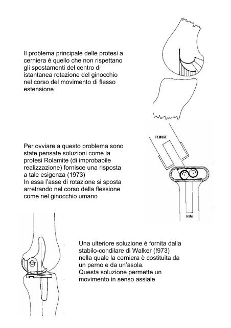 Biomeccanica del ginocchio - Fisiokinesiterapia.biz