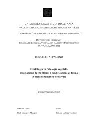 Manuale. L'arte Di Affrontare La Vita - Epitteto; Palmieri D. (Curatore)