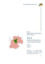 piano d'area Dittaino a4.pdf - Provincia Regionale di Enna