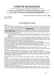 Ordinanza 289_2010.pdf - Comune di Magione