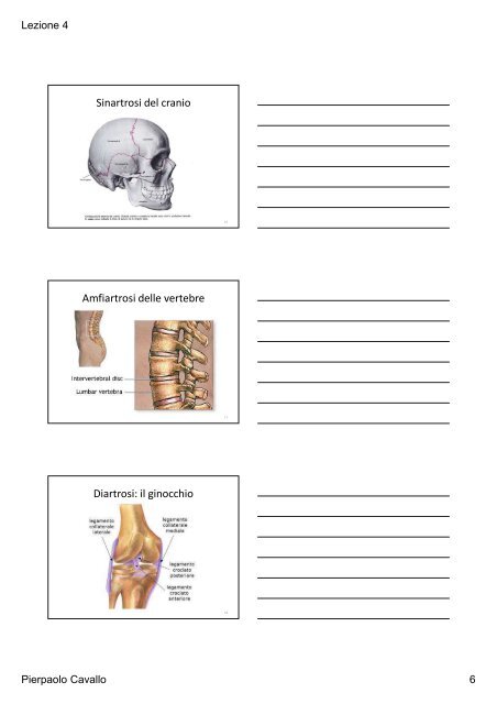 Traumatologia Lezione 4