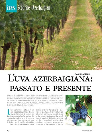 L'uva azerbaigiana: passato e presente - Irs