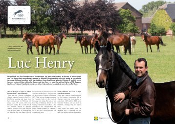 Studhero - Luc Henry - Studbook Zangersheide