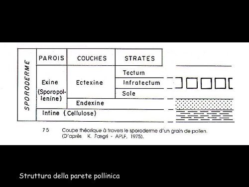 Nessun titolo diapositiva - Universita degli studi di Ferrara