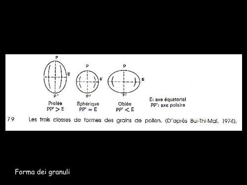 Nessun titolo diapositiva - Universita degli studi di Ferrara