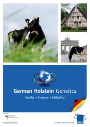 German Holstein Genetics - Deutscher Holstein Verband e.V.