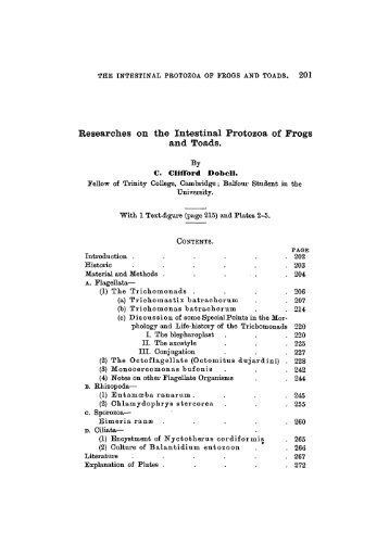 Researches on the Intestinal Protozoa of Frogs and Toads.