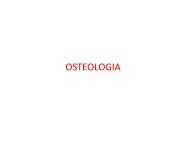 (Microsoft PowerPoint - 2_OSTEOLOGIA [modalit\340 ... - Skuola.net