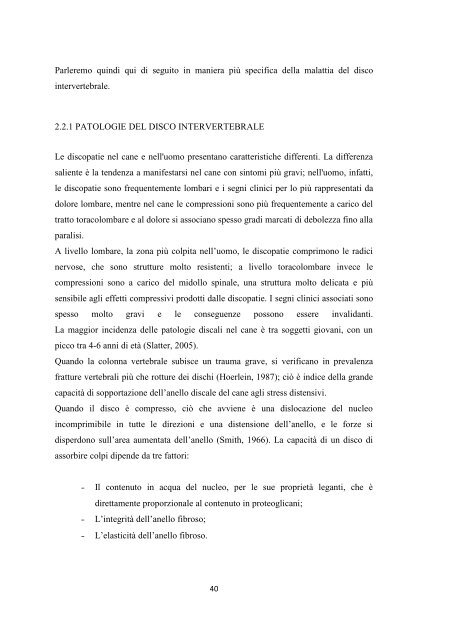 Documento PDF