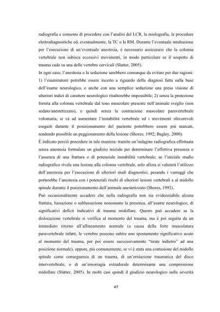 Documento PDF