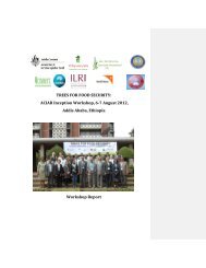Final draft Ethiopia ACIAR Inception Workshop Report Sept 22 012