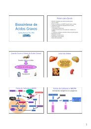 Biossíntese de Ácidos Graxos - Corpo