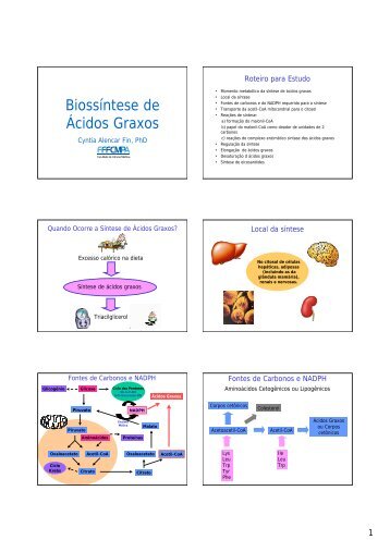 Biossíntese de Ácidos Graxos - Corpo