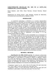 CARACTERIZACIÓN MOLECULAR DEL GEN DE LA ACETIL-COA ...