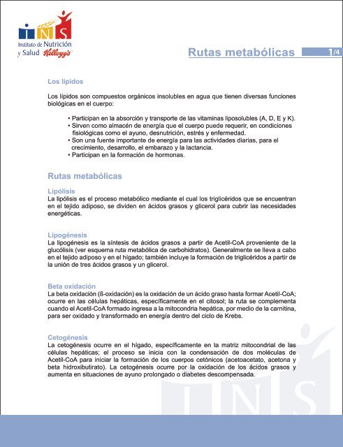 diabetes cetogénesis