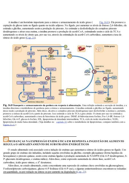 Cap 16 - Biossíntese e armazenamento de ácidos gordos.pdf - Molar