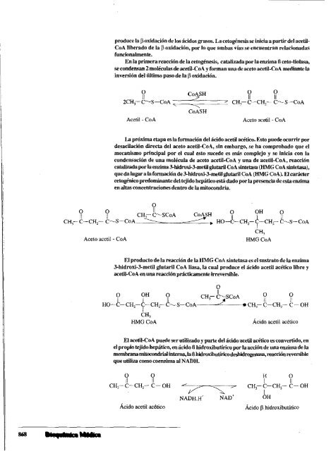 Tomo 3. Cap 51. Metabolismo de los cuerpos cetónicos.pdf - sisman