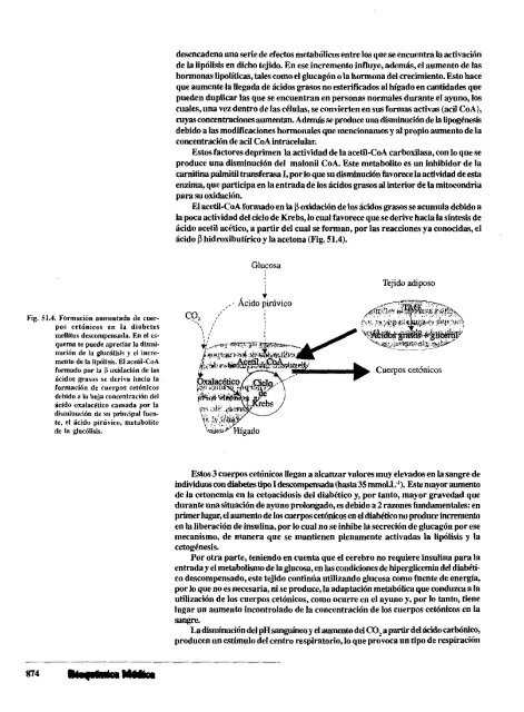 Tomo 3. Cap 51. Metabolismo de los cuerpos cetónicos.pdf - sisman