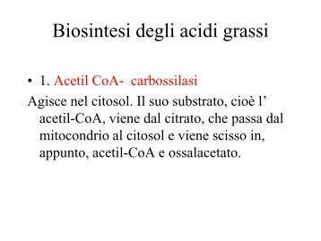 acetyl-CoA