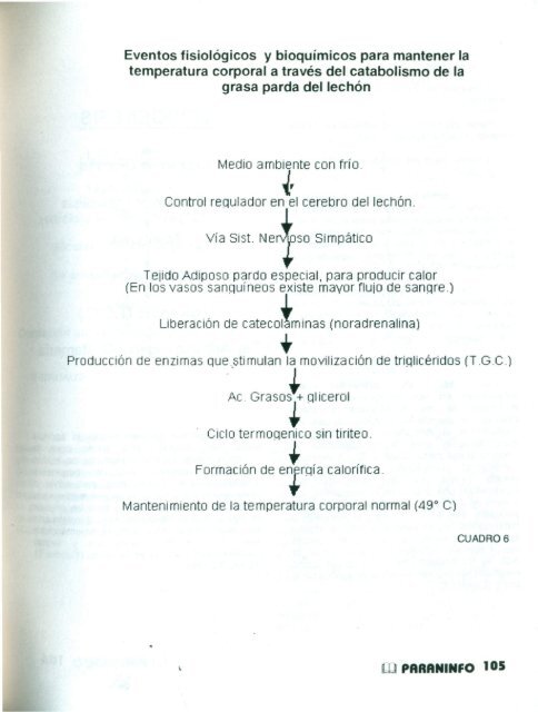 HIPOGLUCEMIA DE LOS LECHONES - Revista Paraninfo ...