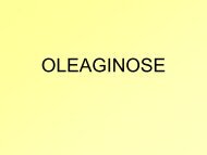 OLEAGINOSE - Di.Pro.Ve
