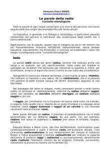 scarica il file pdf
