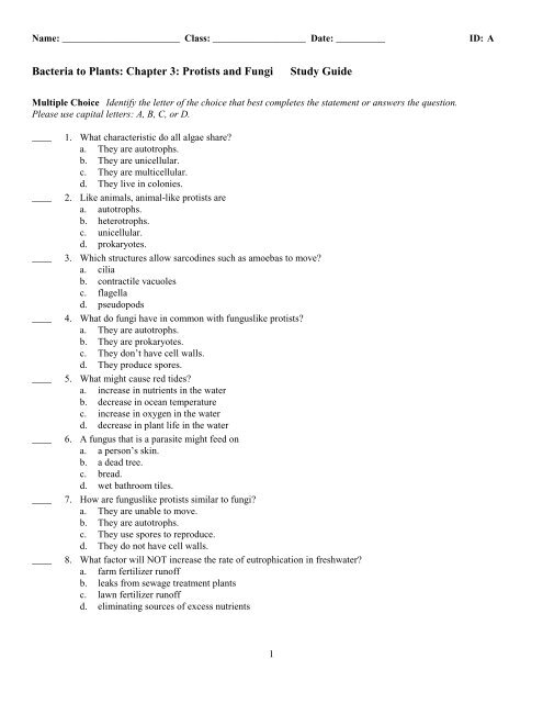 Chapter 3 Test Study Guide