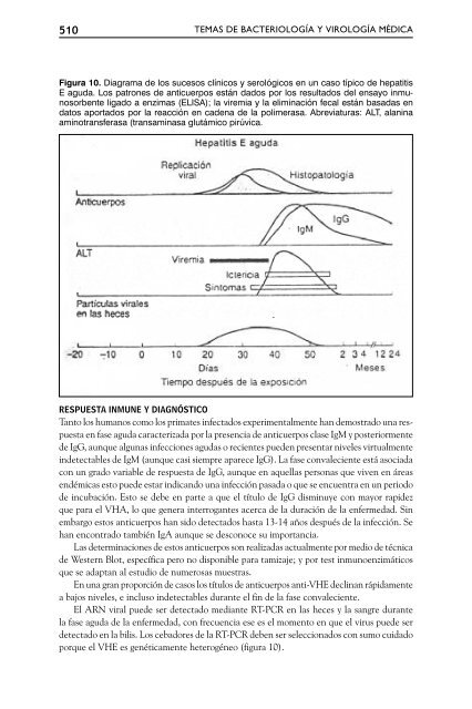 Virus de las hepatitis - Instituto de Higiene