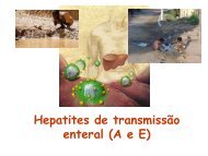 O vírus da hepatite A