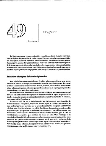 Tomo 3. Cap 49. Lipogénesis.pdf - sisman