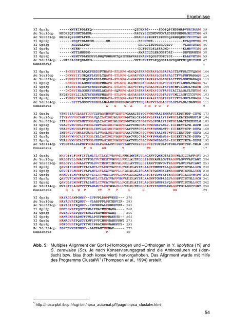 Funktionelle Analyse von Proteinen der Gpr1/Fun34/yaaH ...