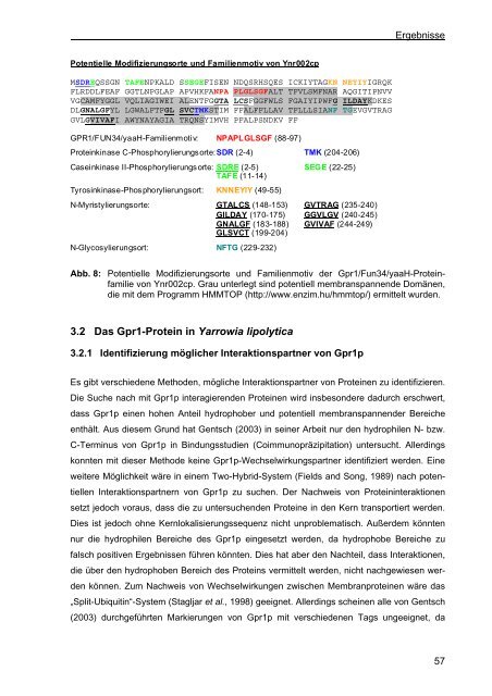 Funktionelle Analyse von Proteinen der Gpr1/Fun34/yaaH ...