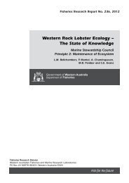 Western Rock Lobster Ecology - Department of Fisheries