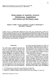 Redescription of Amphilius jacksonii (Siluriformes ... - SFOS