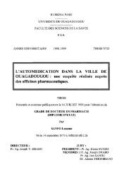 L'Automédication dans la ville de Ouagadougou : une enquête ...