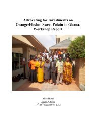 Workshop Report - Sweetpotato Knowledge Portal