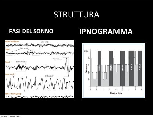 il ruolo del sonno nella sopravvivenza della specie - ipnosi ...