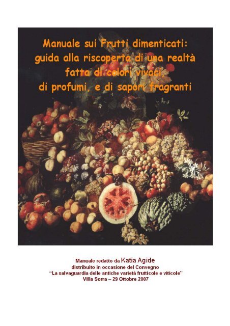 SANGUE LATTE GELSO-MORUS SANGUE LATTE albero da frutto da esterno pianta vera SANGUE LATTE GELSO-MORUS SANGUE LATTE albero da frutto da esterno pianta vera