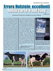 Errera Holstein: eccellenti nella corte e nel ring - Anafi