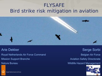 FLYSAFE Bird strike risk mitigation in aviation - Integrated ...