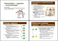 Homeostáza – regulace - chronobiologie Principy regulace ...