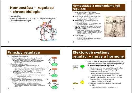 Homeostáza – regulace - chronobiologie Principy regulace ...