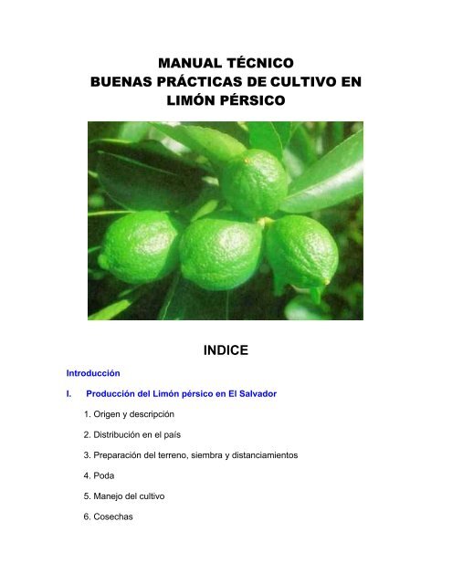 Manual técnico ?Buenas prácticas de cultivo en Limón ... - oirsa