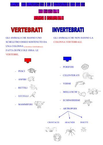 La classificazione degli animali