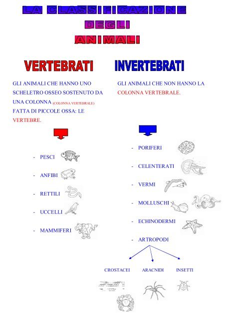 La classificazione degli animali